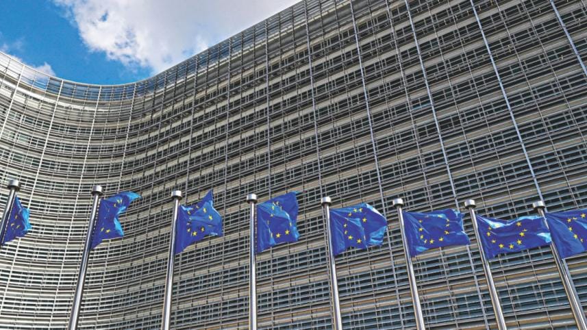 European Union flags.jpg