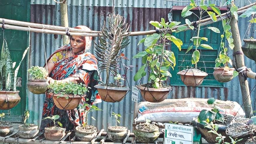 household vegetable gardens