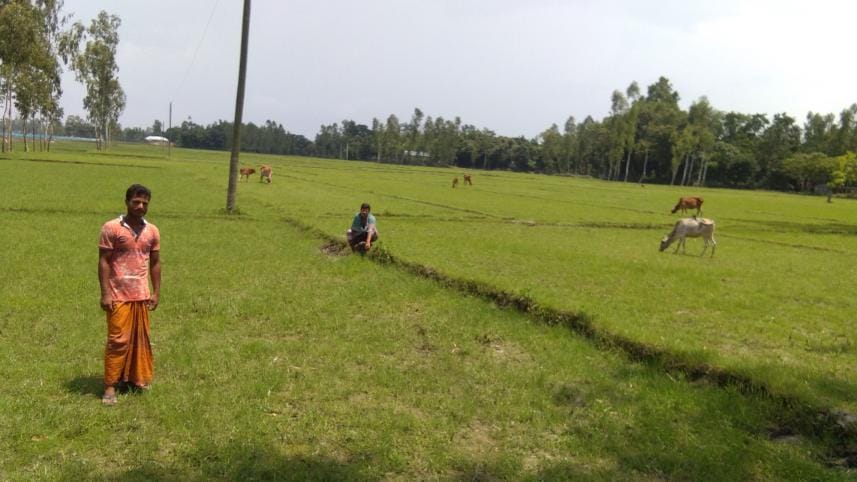Flood-hit Aman growers.jpg