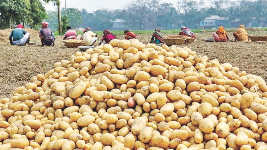 food security during pandemic.jpg