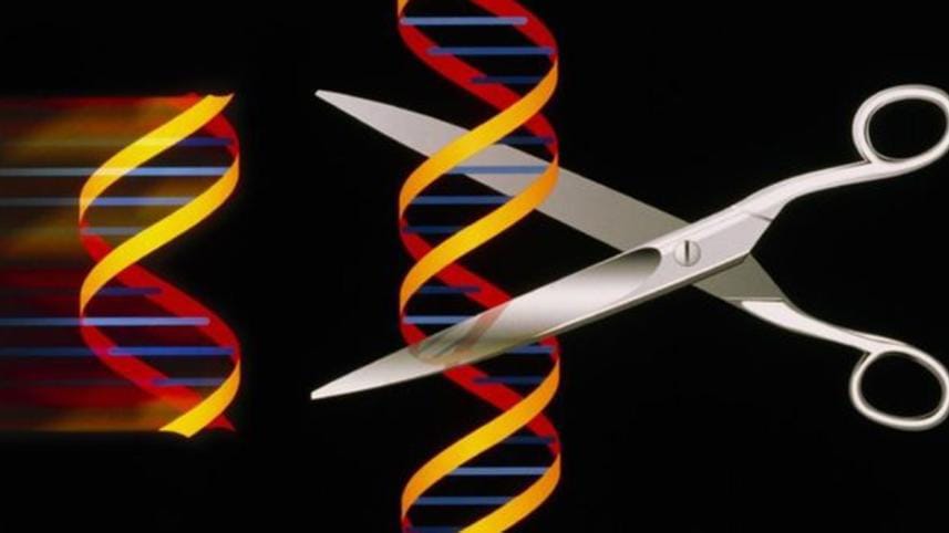 gene-editing-spl-1-web.jpg