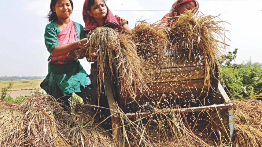 Bangladesh to remove rice import duty