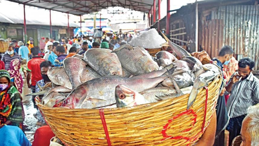 Hilsa ban