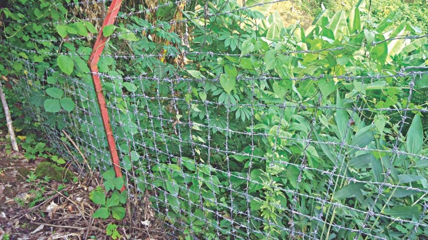 indigenous land grabbing 1.jpg