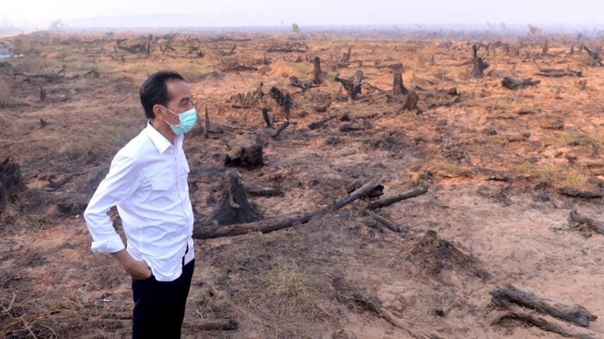 Indonesia's President Joko Widodo says he needs time to tackle the forest-burning which creates a haze every year over South East Asia.