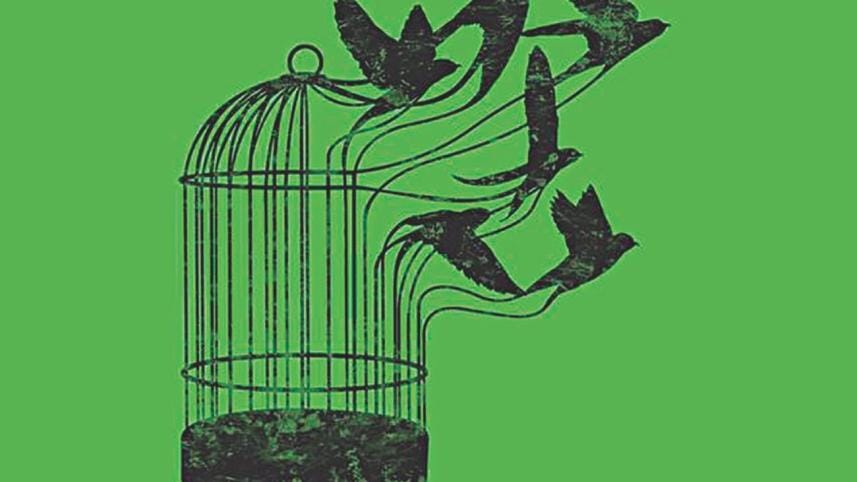 Intellectual property