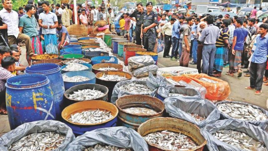 jatka cause gill net.jpg