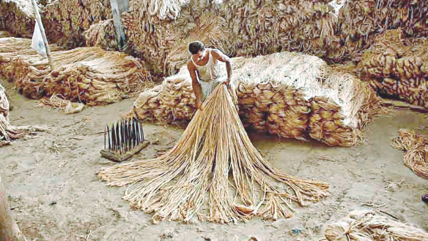Jute.jpg