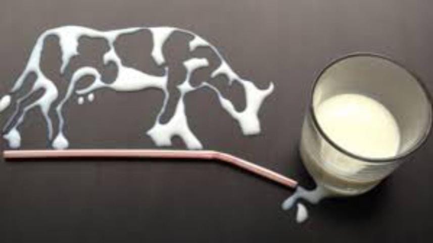 Lead and bacteria milk.jpg