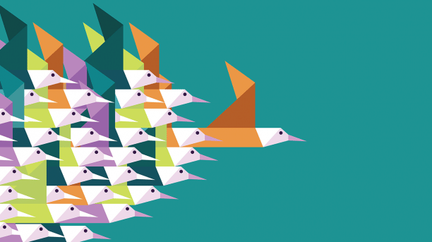 leadership-birds copy.PNG