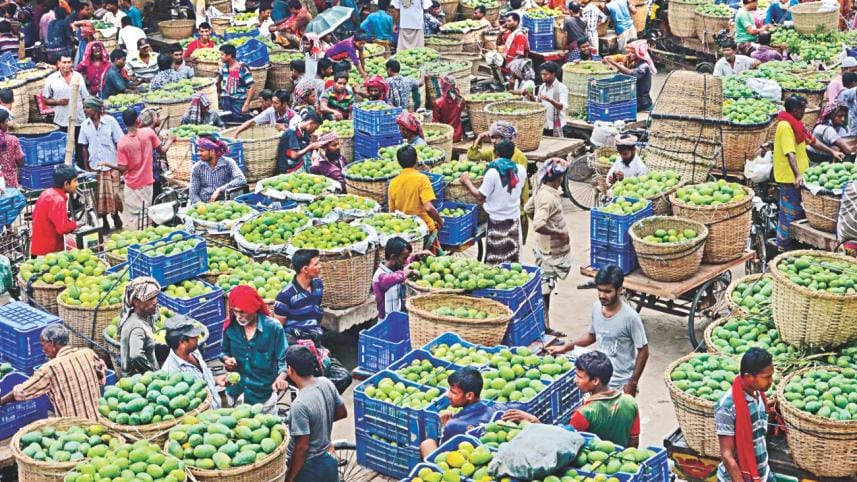 mango in rajshahi 1.jpg