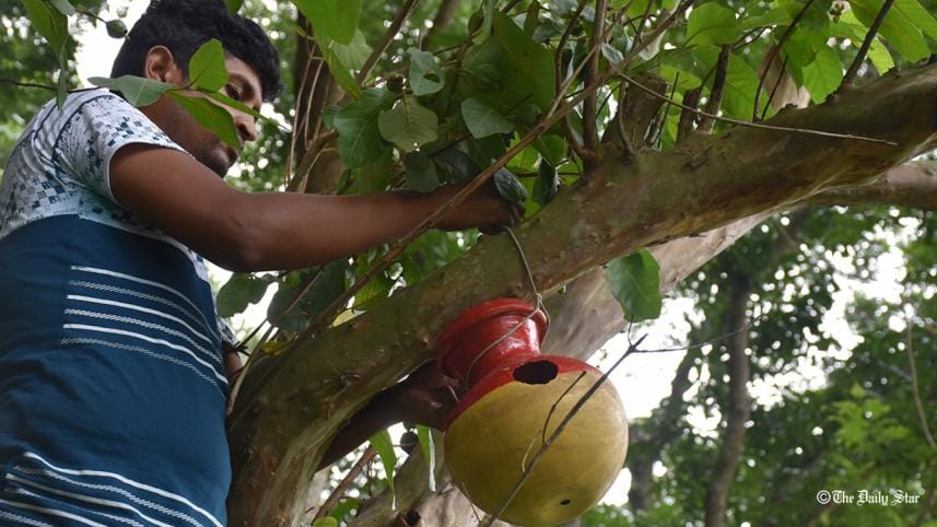 MDB photo May 20.jpg