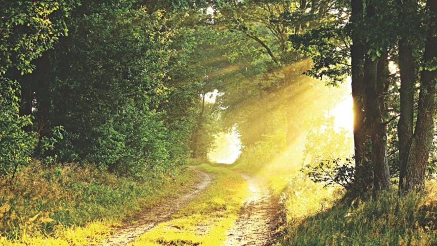 Melbourne Diurnal.jpg