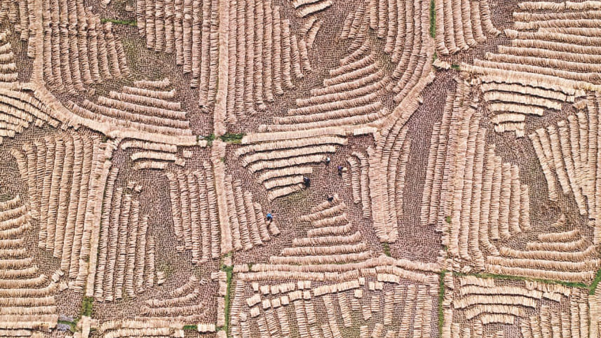 No Land Beneath Her Feet