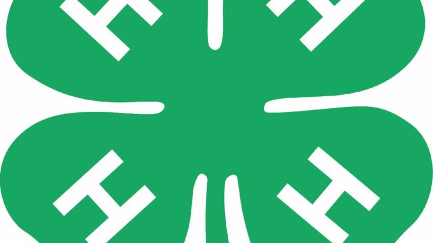 On a mission to make the best, better