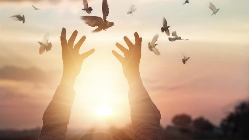 Learning Forgiveness