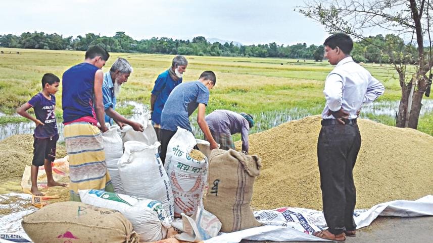 Paddy Price in Bangladesh