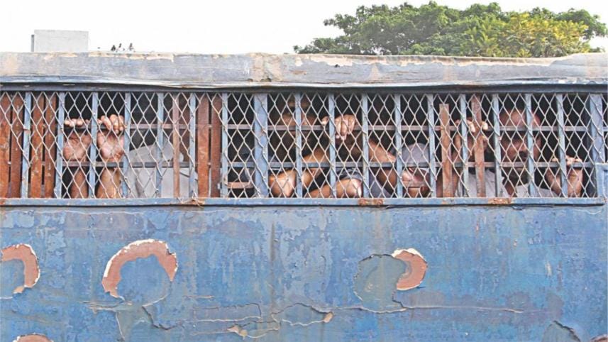 Pandemic and prisons.jpg