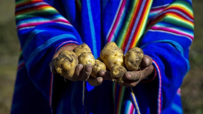 potato-lima-afp-wb.jpg