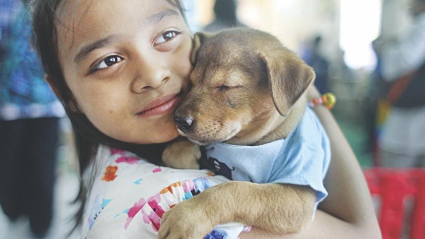 How to prepare your First Pet Dog