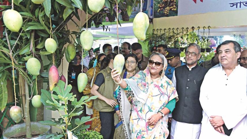 Prime Minister Sheikh Hasina.jpg