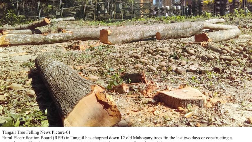 Rural Electrification Board