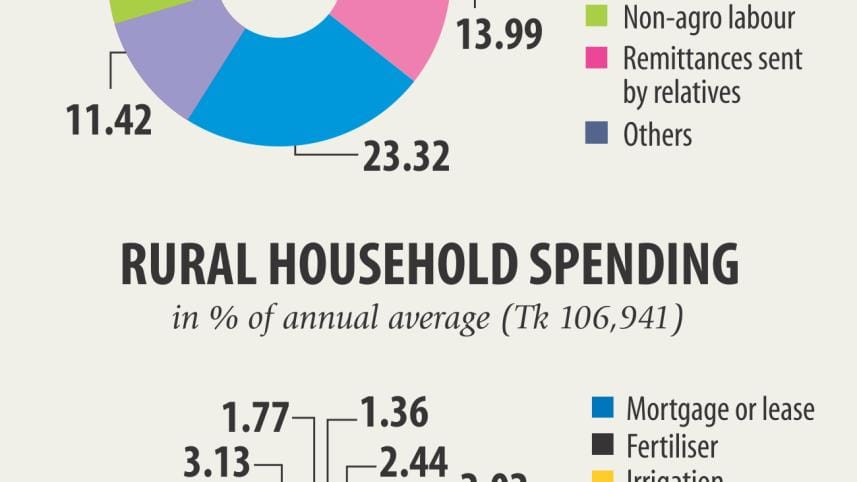 Rural Household Earnings.jpg