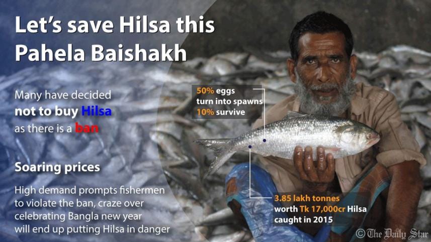 save-hilsa