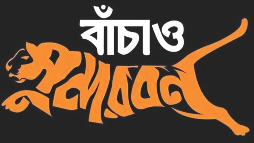 Coal-fired power plants and Related Stories