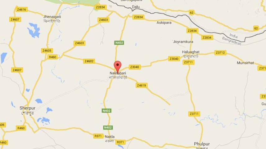 Nalitabari-Sherpur map