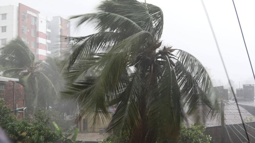 Hailstorm kills several thousand birds in Narail