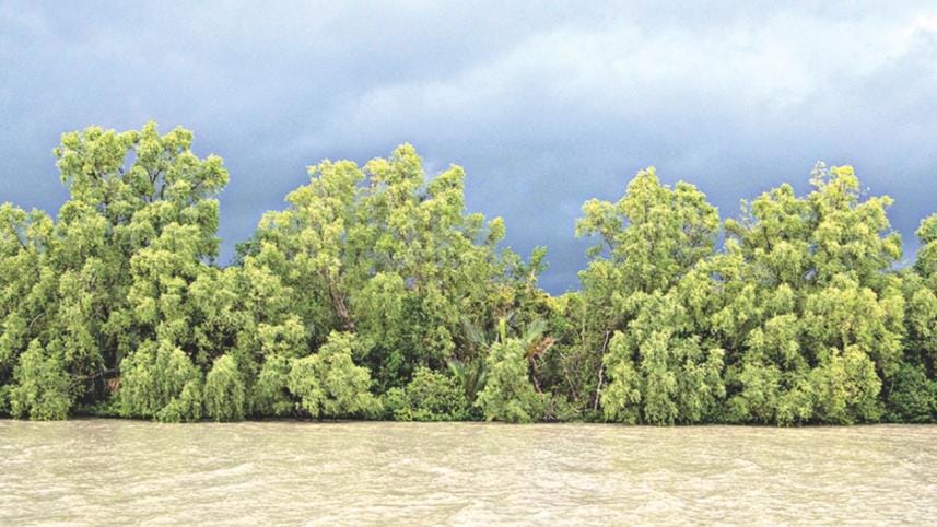 Sundarbans - World Largest Mangrove Forest
