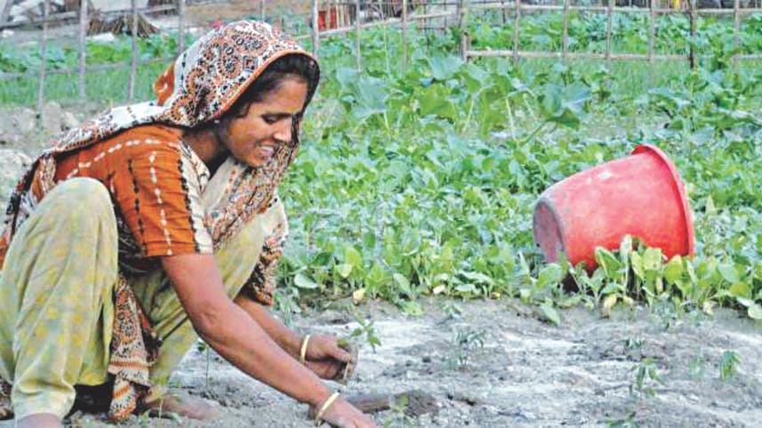 Sustainable development 1.jpg