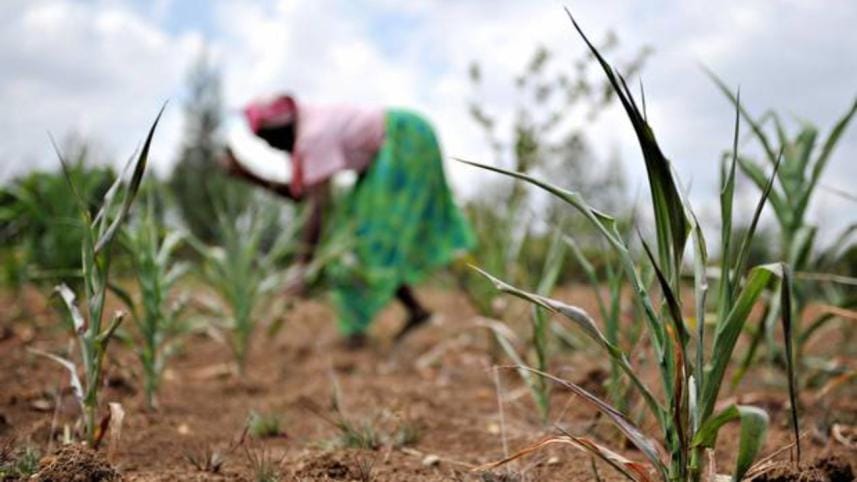 Sustainable livelihood