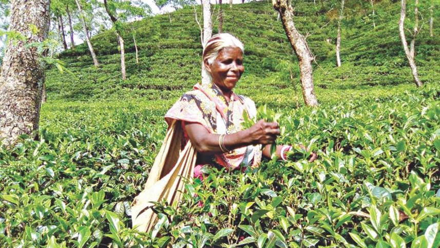 Tea workers Day 2018