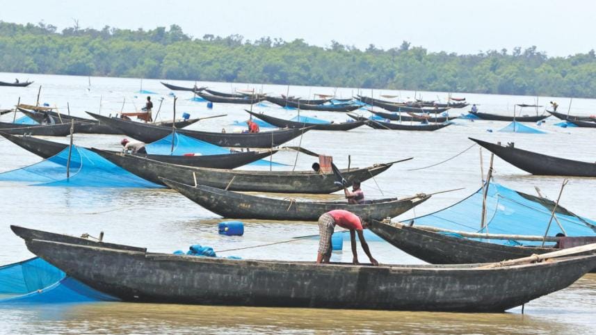 The Invisible Victims of “Development”