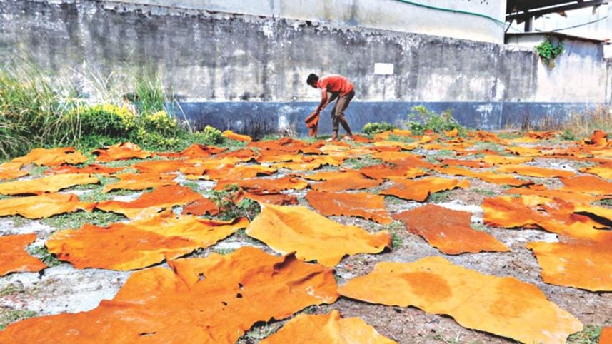 This Time Dhaleshwari