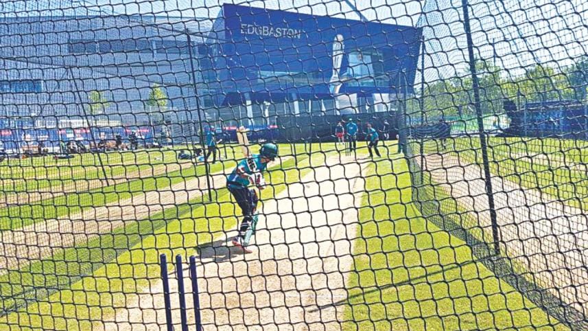 tigers in burmingham.jpg