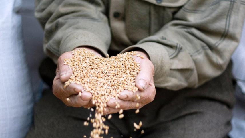 zakatul fitr new.jpg