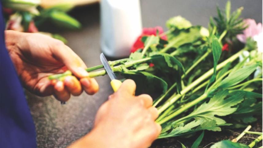 Flowers that beautify the home and soul