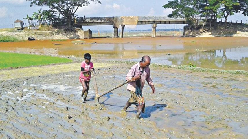 HARD-PRESSED, THEY FIGHT TO SURVIVE