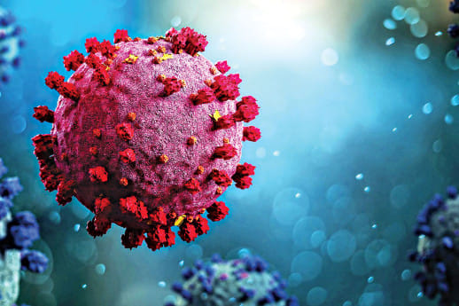 Bangladesh coronavirus