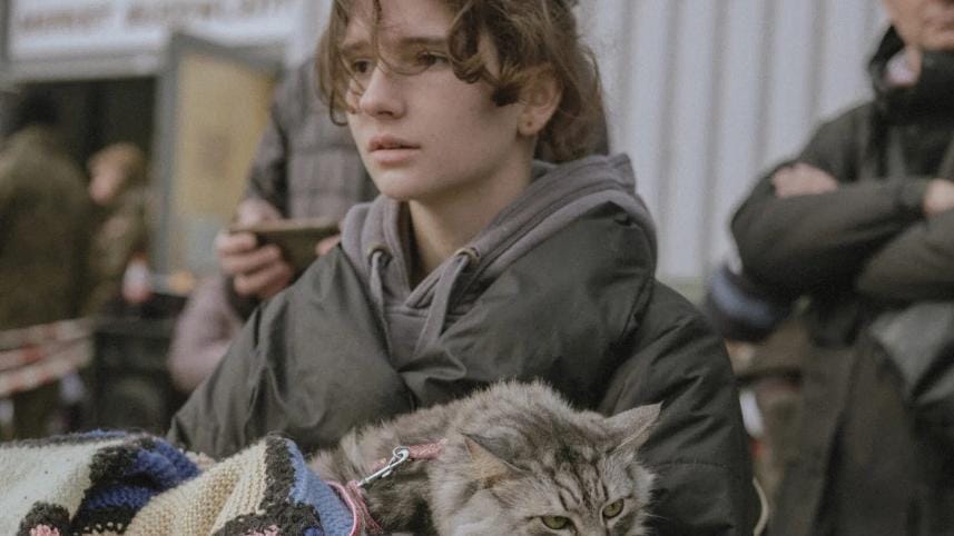 ismail-ferdous-ukraine-girl-cat