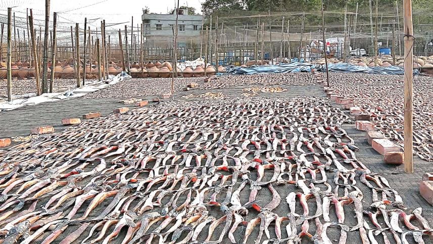 dry-fish.jpg