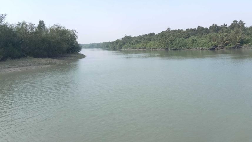 sundarbans.jpg