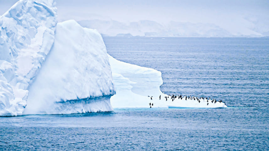 antarctica-2.jpg