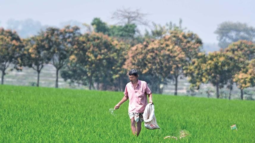 Fertiliser Supply crisis
