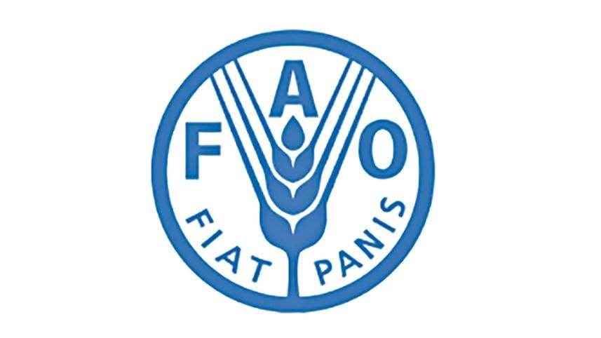 fao_logo.jpg
