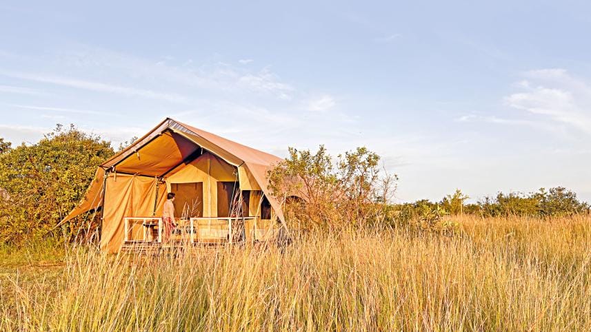 Maasai Mara and Serengeti