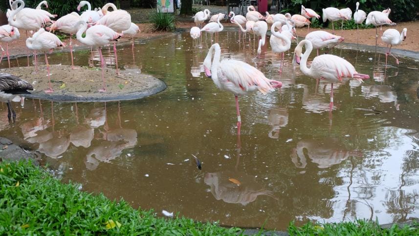 Manaus and deep in the Amazon!